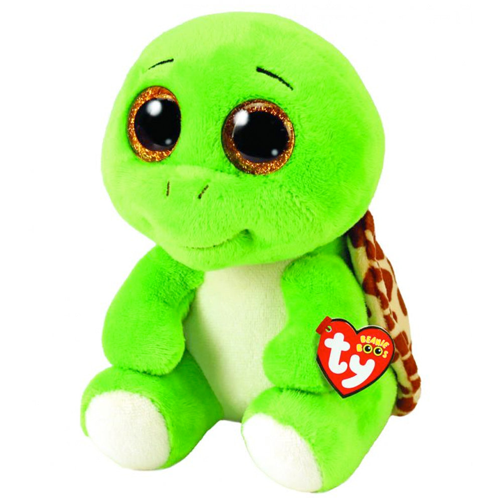 Turbo Schildkröte goobee