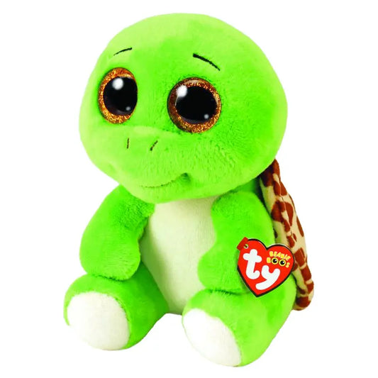 Turbo Schildkröte goobee